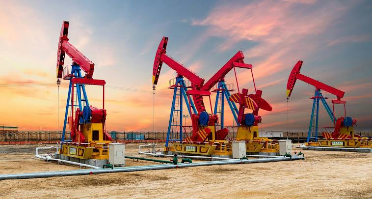 WhatsApp Image 2025-04-07 at 12.05.20